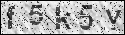 human verification image