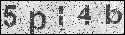human verification image