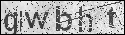 human verification image