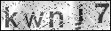 human verification image