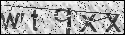 human verification image