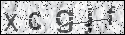 human verification image