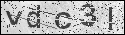 human verification image