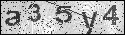 human verification image