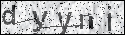 human verification image