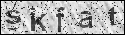 human verification image