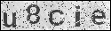 human verification image