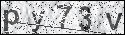 human verification image
