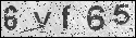 human verification image