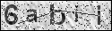 human verification image