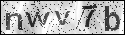 human verification image