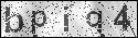 human verification image