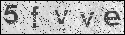 human verification image