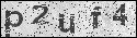 human verification image