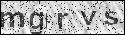human verification image