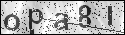 human verification image