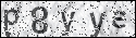 human verification image