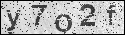 human verification image