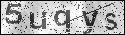human verification image