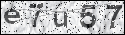 human verification image
