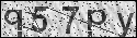 human verification image