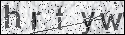 human verification image