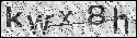 human verification image