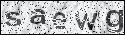 human verification image