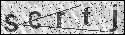 human verification image