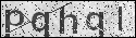 human verification image