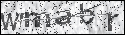 human verification image