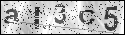 human verification image
