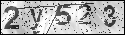 human verification image