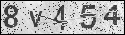 human verification image