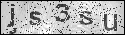 human verification image