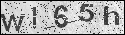 human verification image