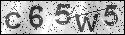 human verification image