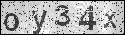 human verification image
