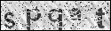 human verification image