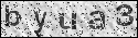 human verification image
