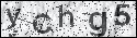 human verification image