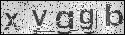 human verification image