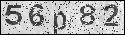 human verification image