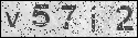 human verification image