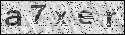 human verification image