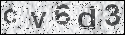 human verification image