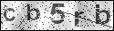 human verification image