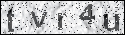 human verification image
