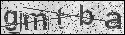 human verification image