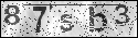 human verification image